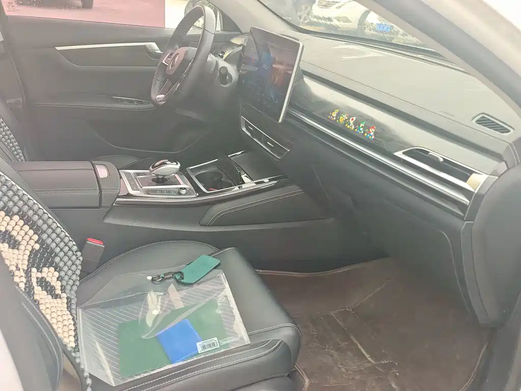 BYD Qin Pro NEV — миниатюра 7