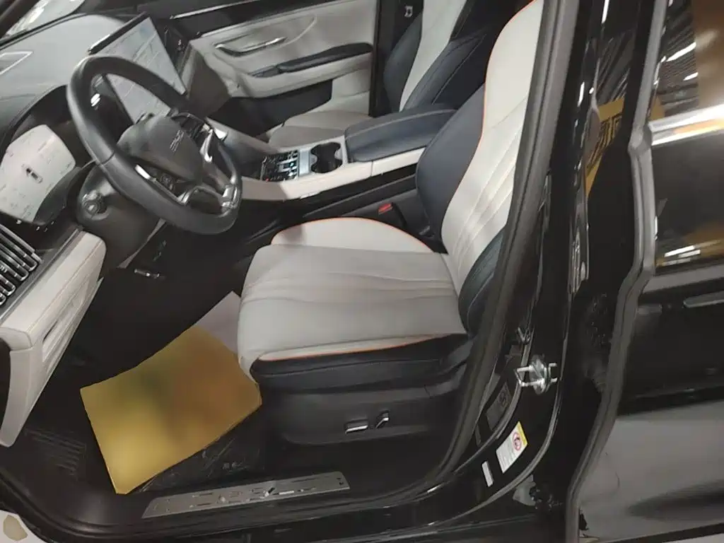 BYD PLUS New Energy — миниатюра 13
