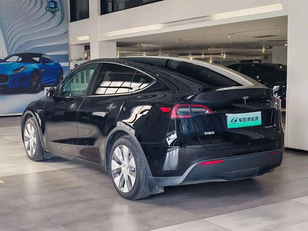 Tesla Model Y — миниатюра 7