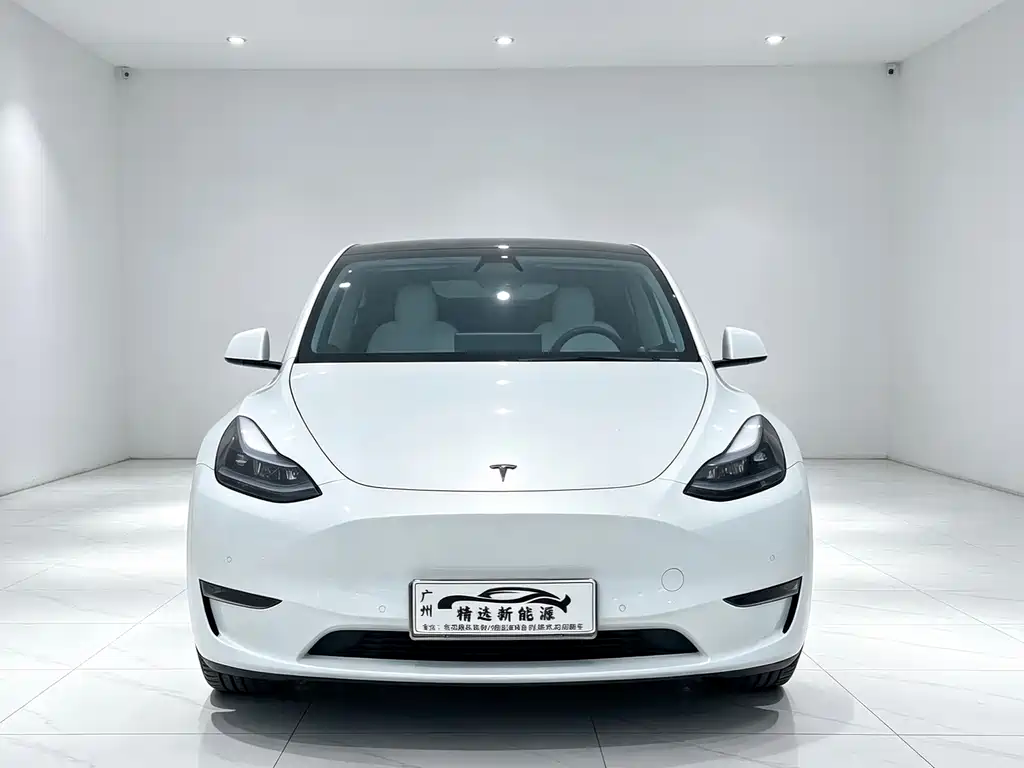 Tesla Model Y — миниатюра 2