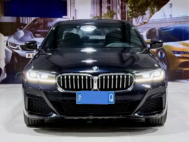 BMW 5 SERIES