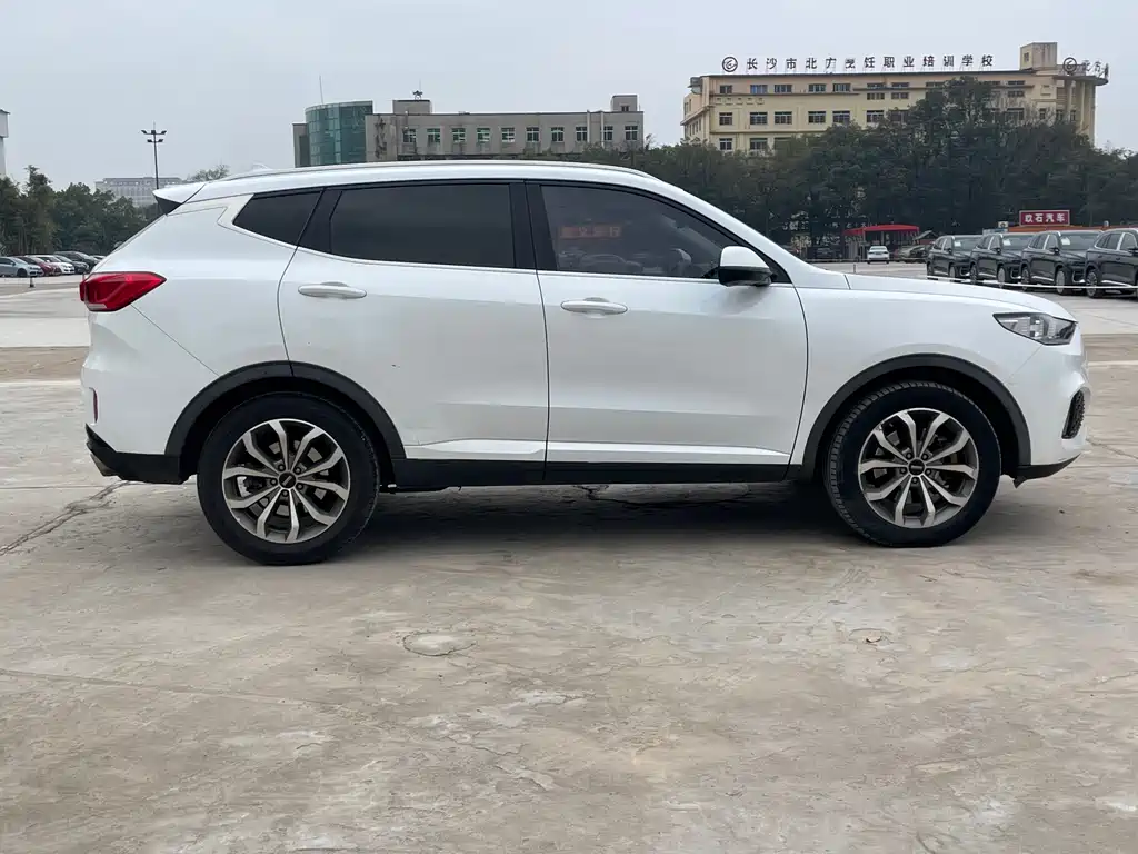 WEI PAI WEI BRAND VV6