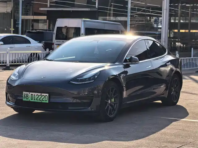 TESLA MODEL 3 2020