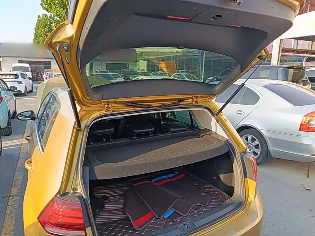 Volkswagen Golf — миниатюра 19