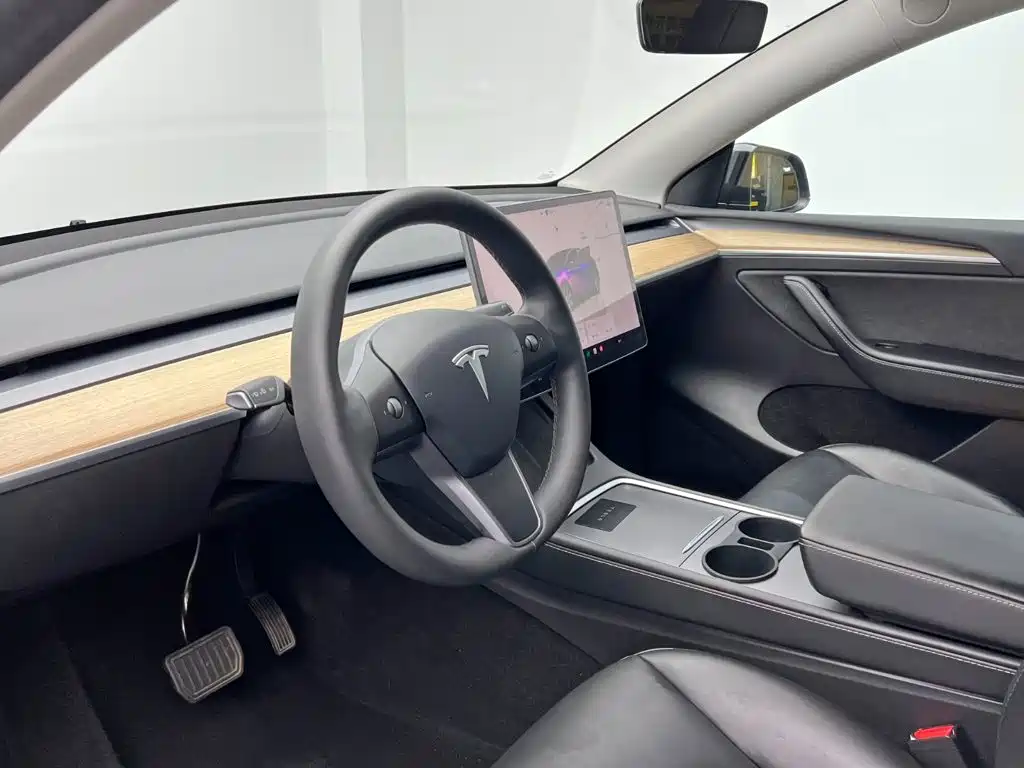 Tesla Model Y — миниатюра 14