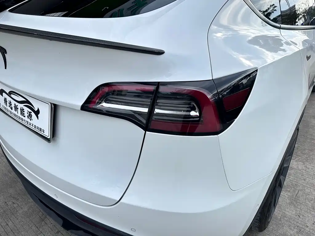 Tesla Model Y — миниатюра 6