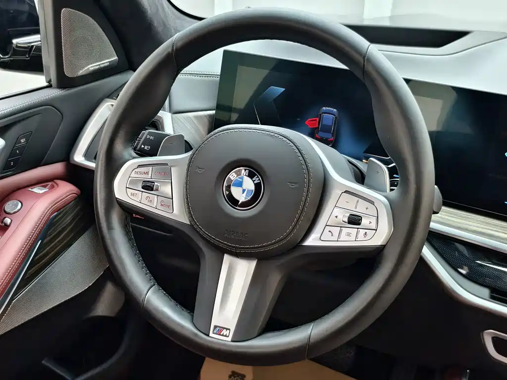 BMW X5 — миниатюра 11
