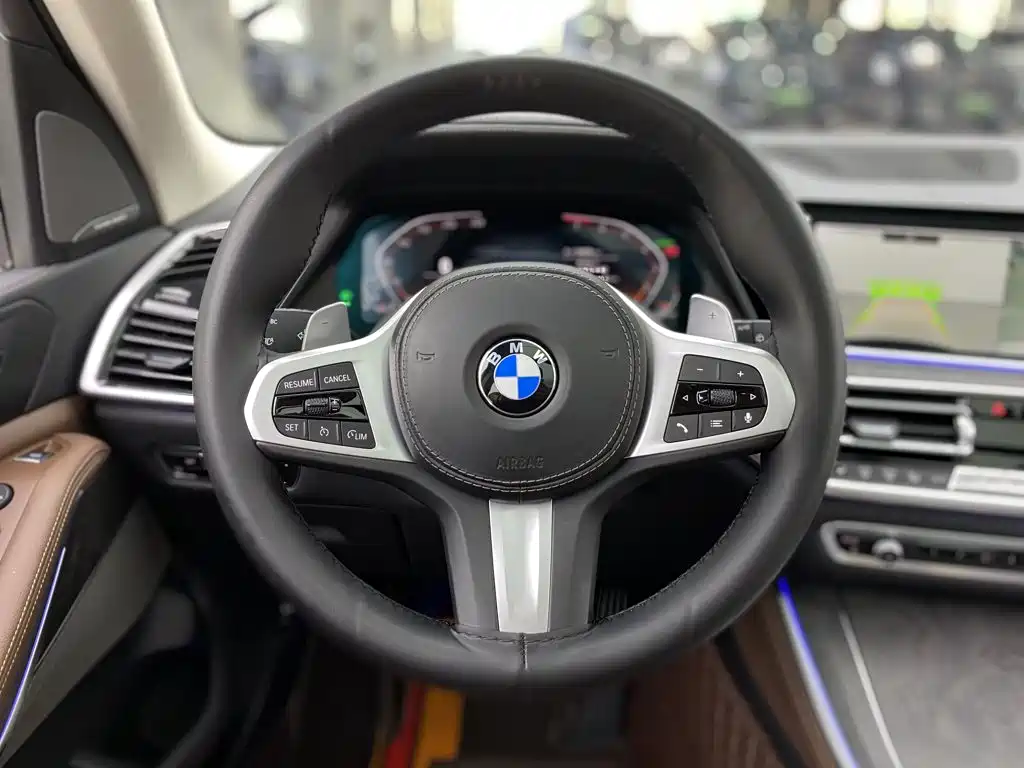BMW X5 (Import) — миниатюра 16