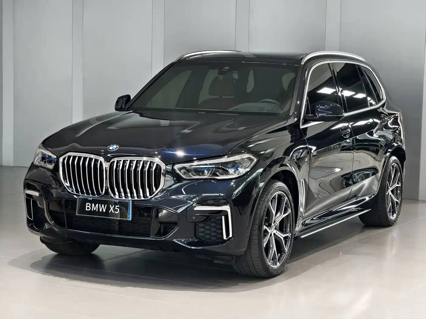 宝马X5 2022款 改款 xDrive 40Li M运动套装 2023