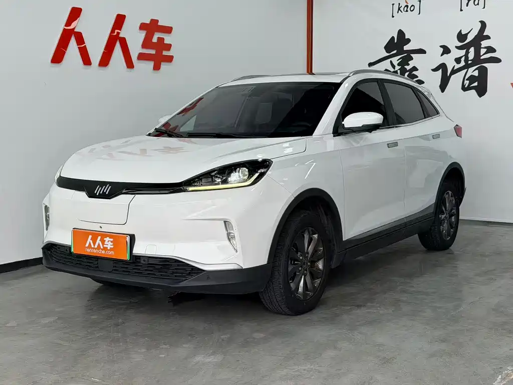 WM Motor EX5