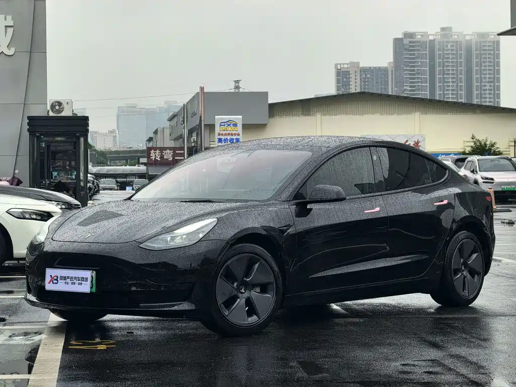 Tesla Model 3 — миниатюра 3