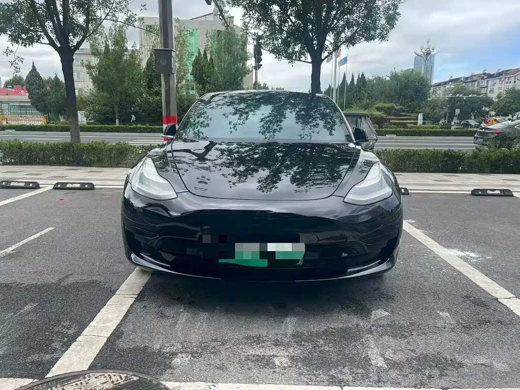 Tesla Model 3 — миниатюра 2