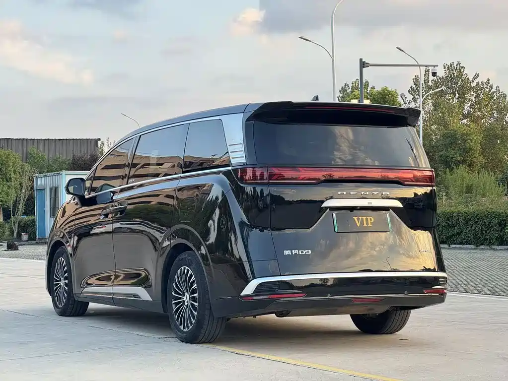 Denza Denza D9 — миниатюра 7