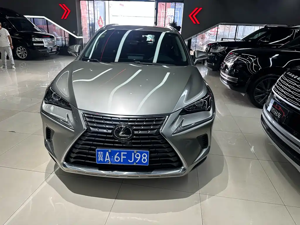 Lexus NX — миниатюра 2