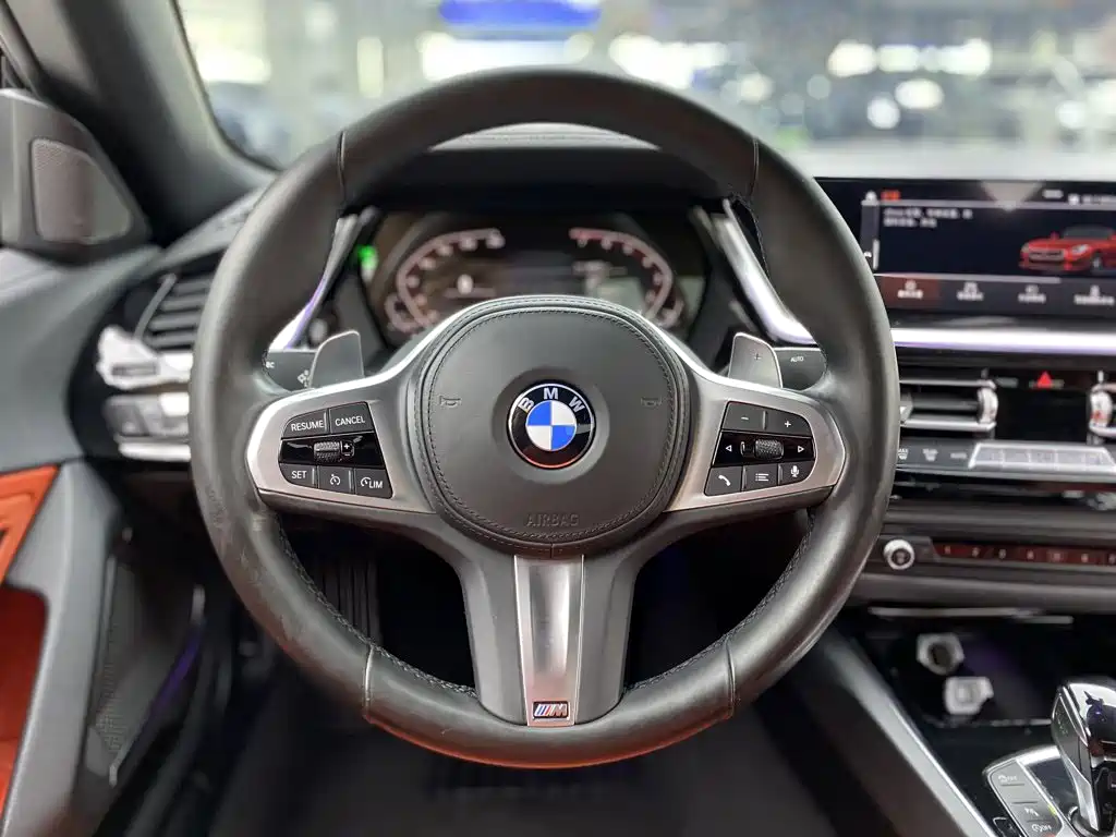 BMW Z4 — миниатюра 17