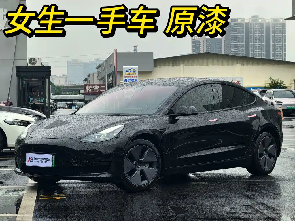 Tesla Model 3 — миниатюра 2