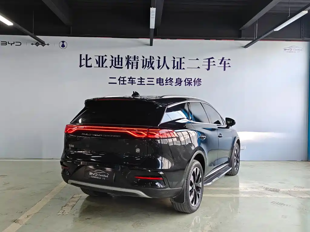 BYD Tang New Energy — миниатюра 4