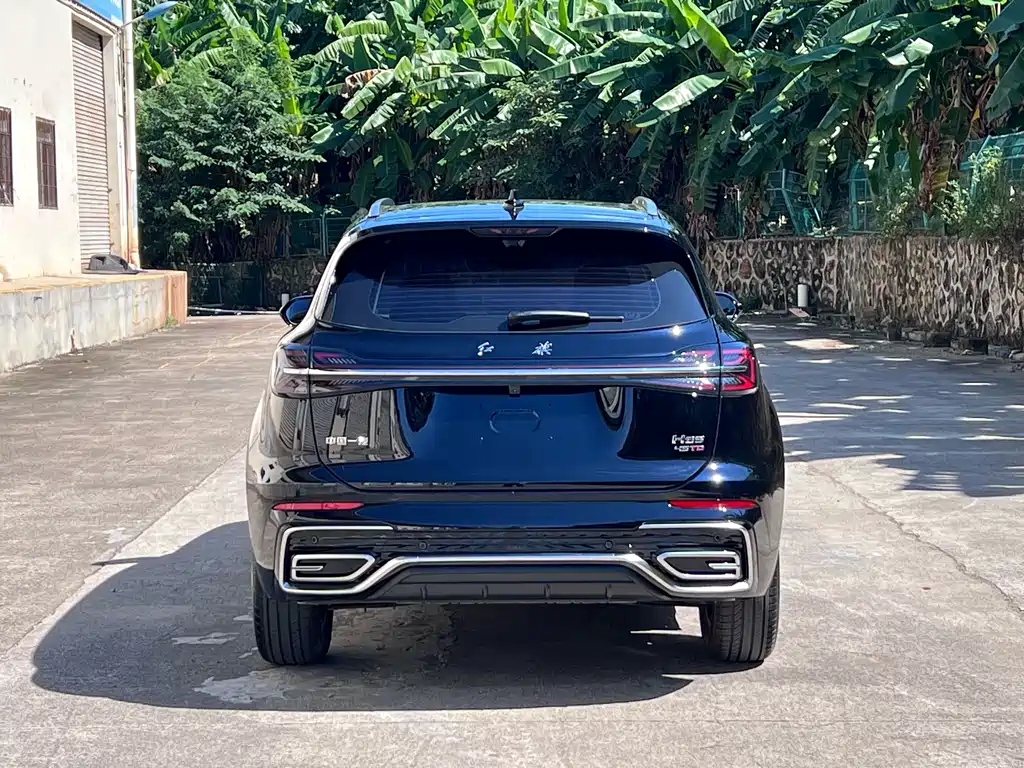 Hongqi Hongqi HS5 — миниатюра 9