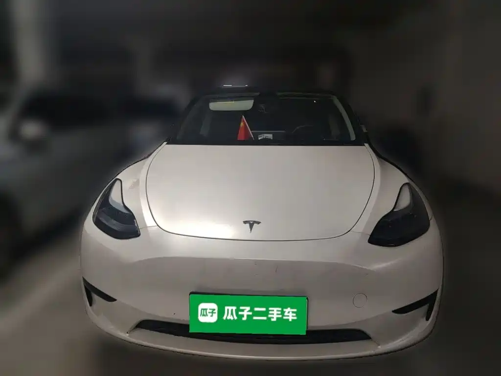 Tesla Model Y — миниатюра 3