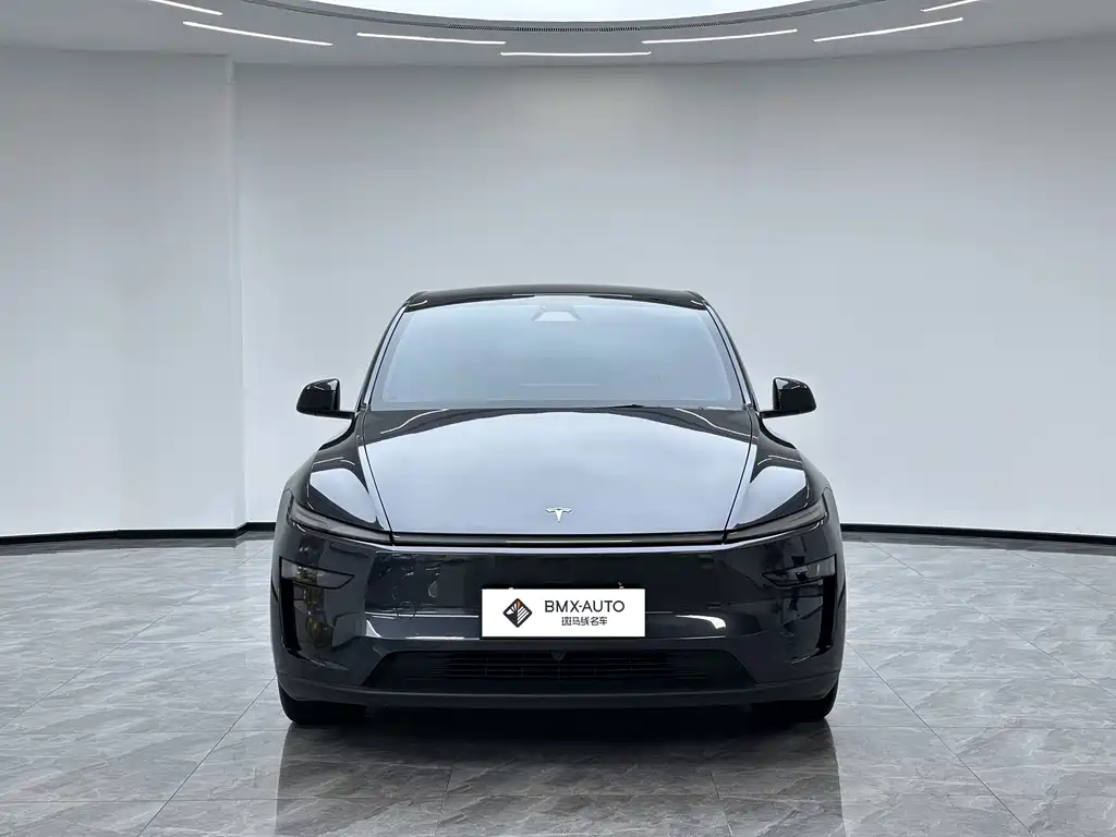 Tesla Model Y — миниатюра 5