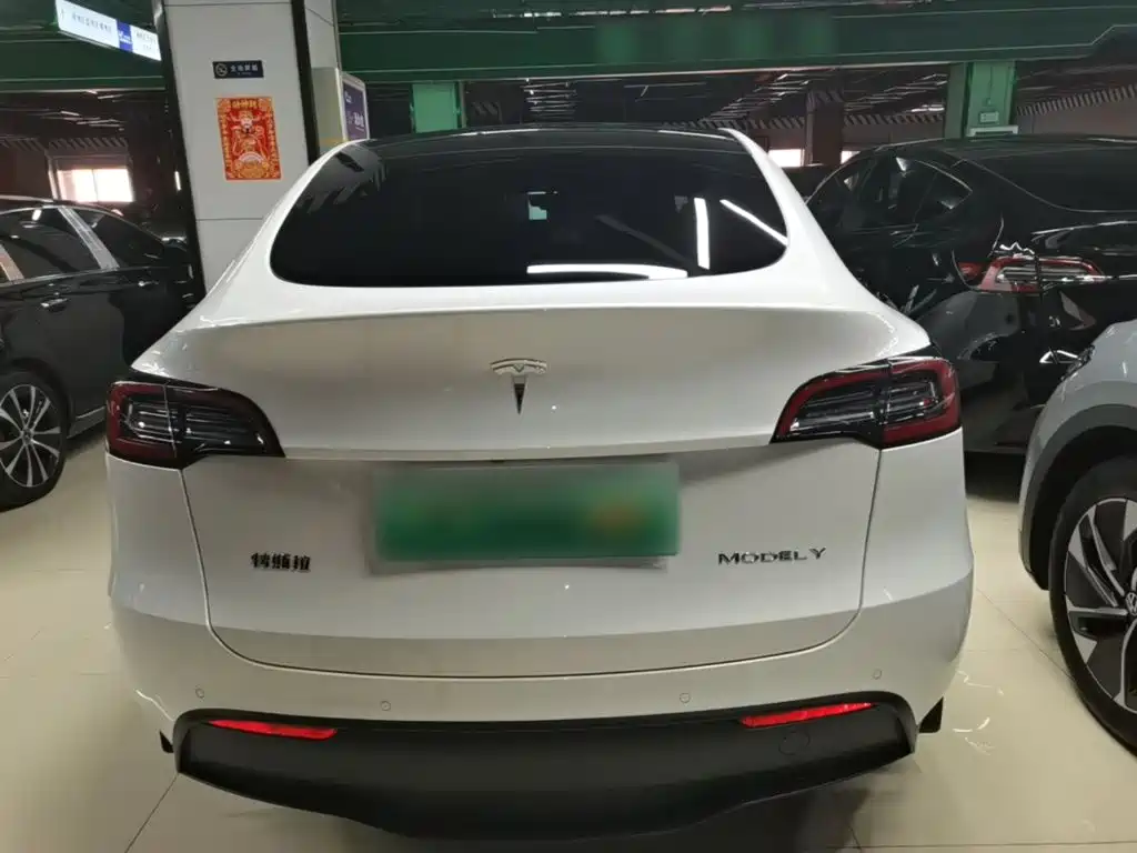 Tesla Model Y — миниатюра 6