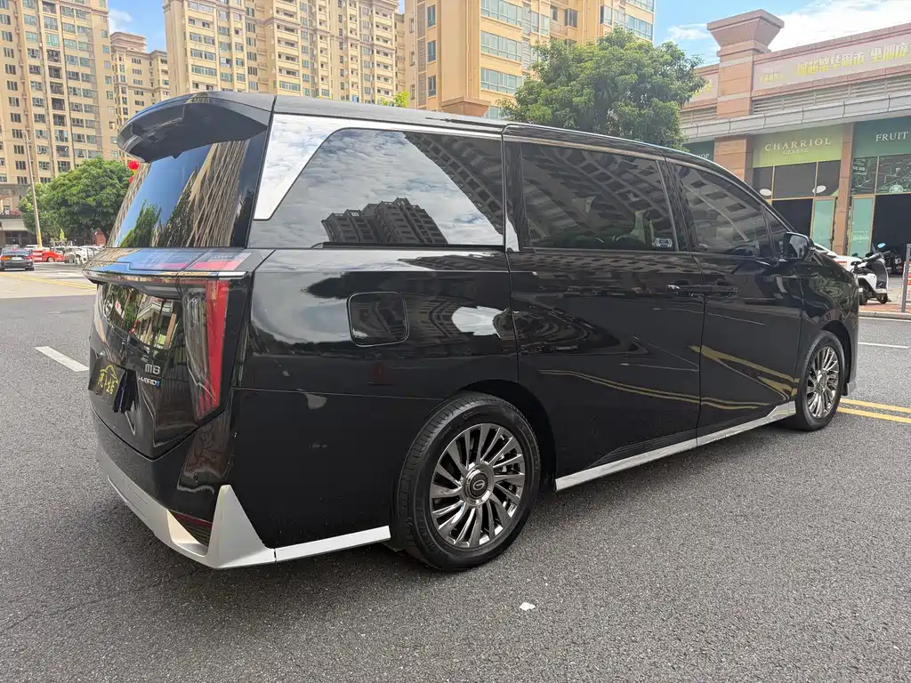 GAC Motor Trumpchi M8 — миниатюра 4