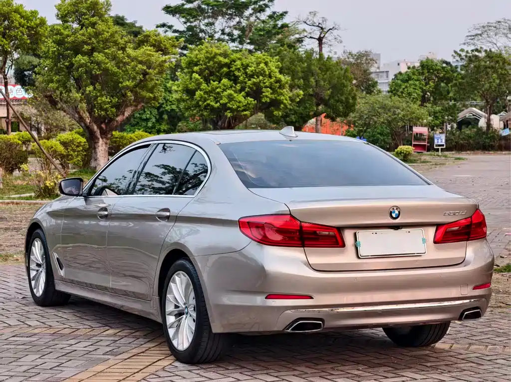 BMW 5 Series 5 2020 530Li Lead Luxury