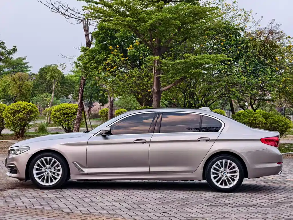 BMW 5 Series 5 2020 530Li Lead Luxury