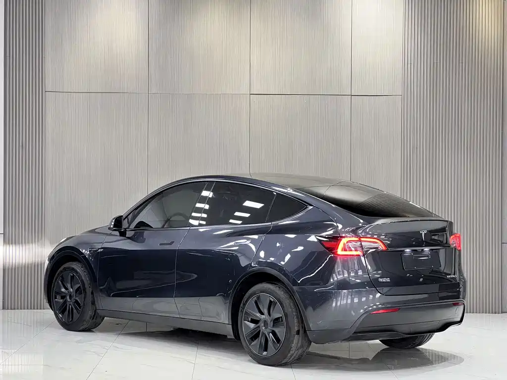 Tesla Model Y — миниатюра 8