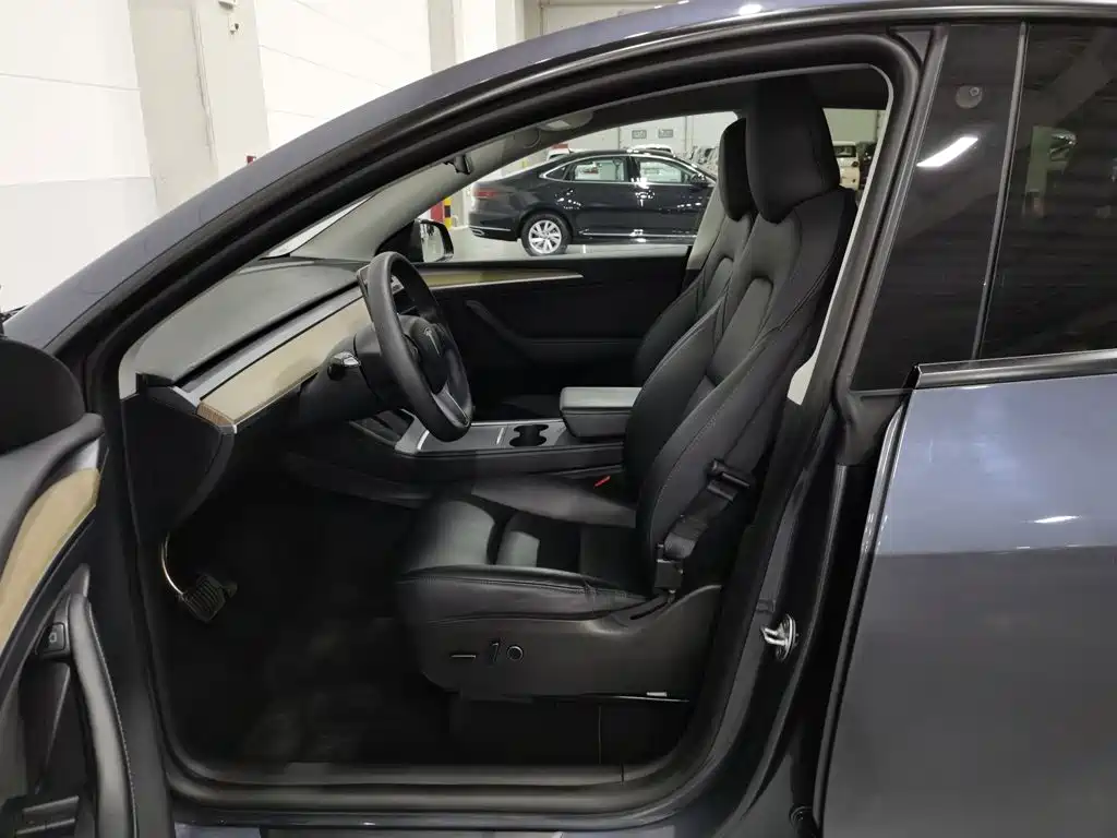 Tesla Model Y — миниатюра 10