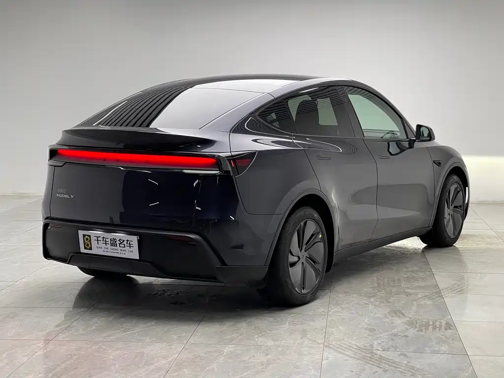 Tesla Model Y — миниатюра 6