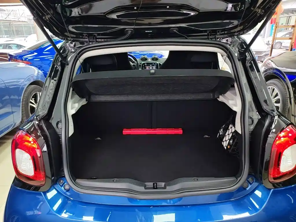smart Smart Forfour — миниатюра 19