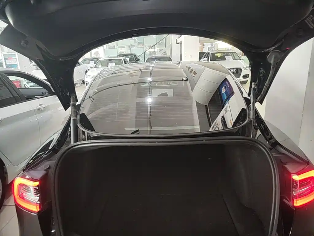 Tesla Model 3 — миниатюра 19