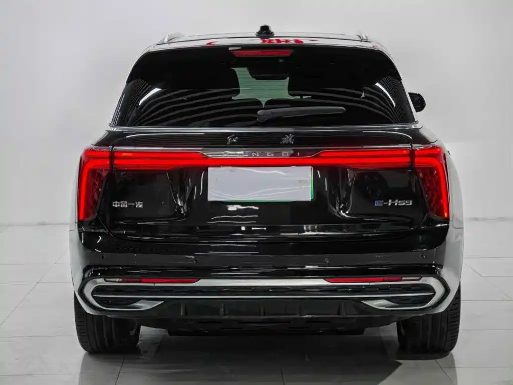 Hongqi Hongqi E-HS9 — миниатюра 6