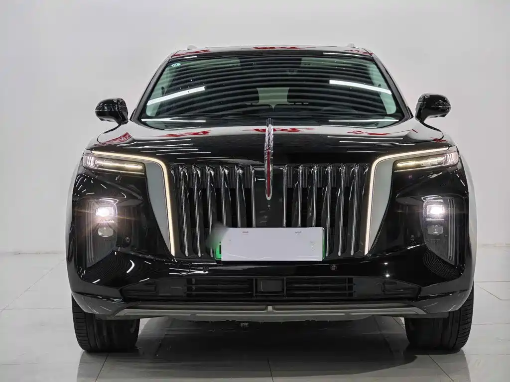 Hongqi Hongqi E-HS9 — миниатюра 7