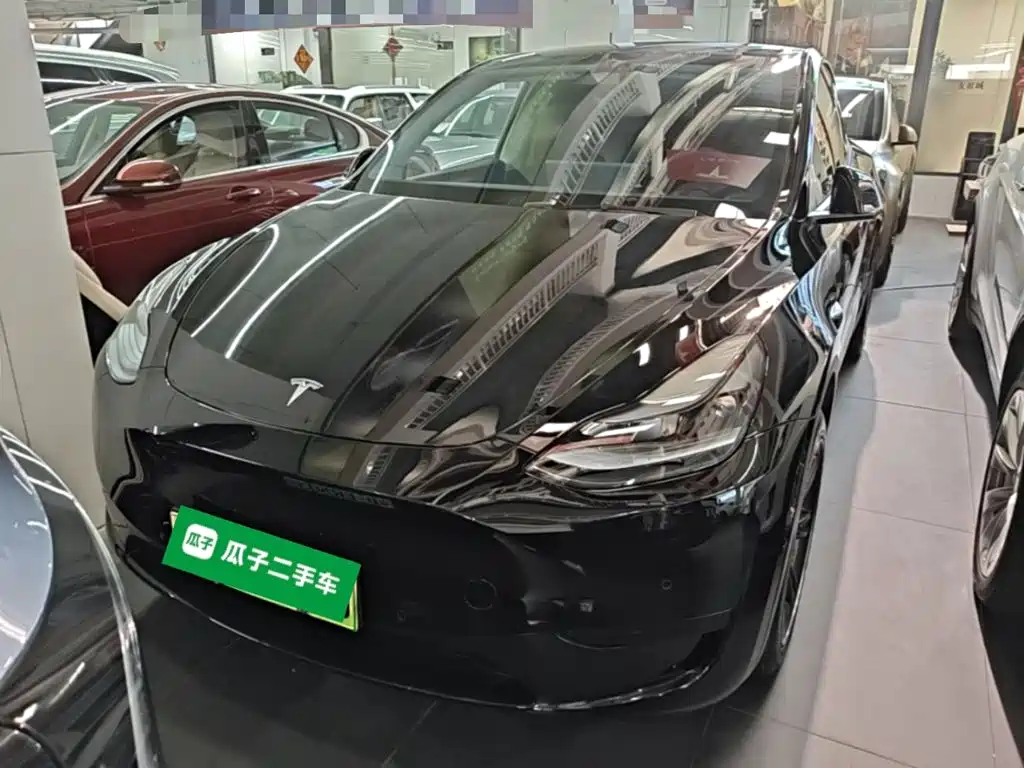 Tesla Model Y — миниатюра 3