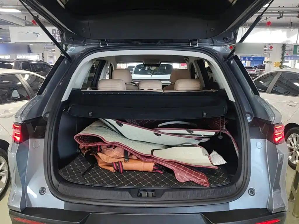 BYD Pro New Energy — миниатюра 19