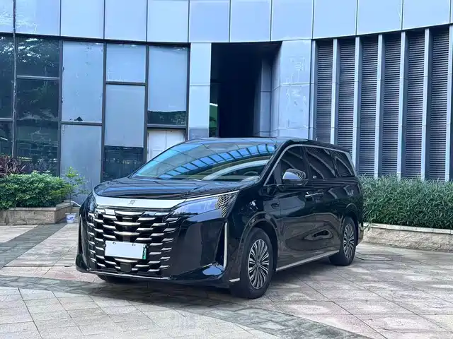 2025 BYD