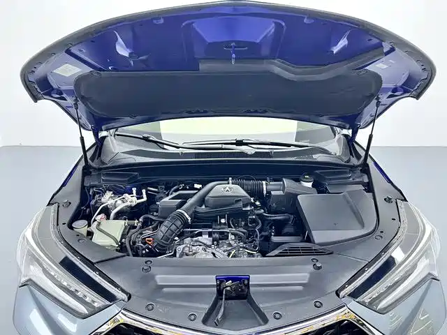 Acura CDX — миниатюра 17