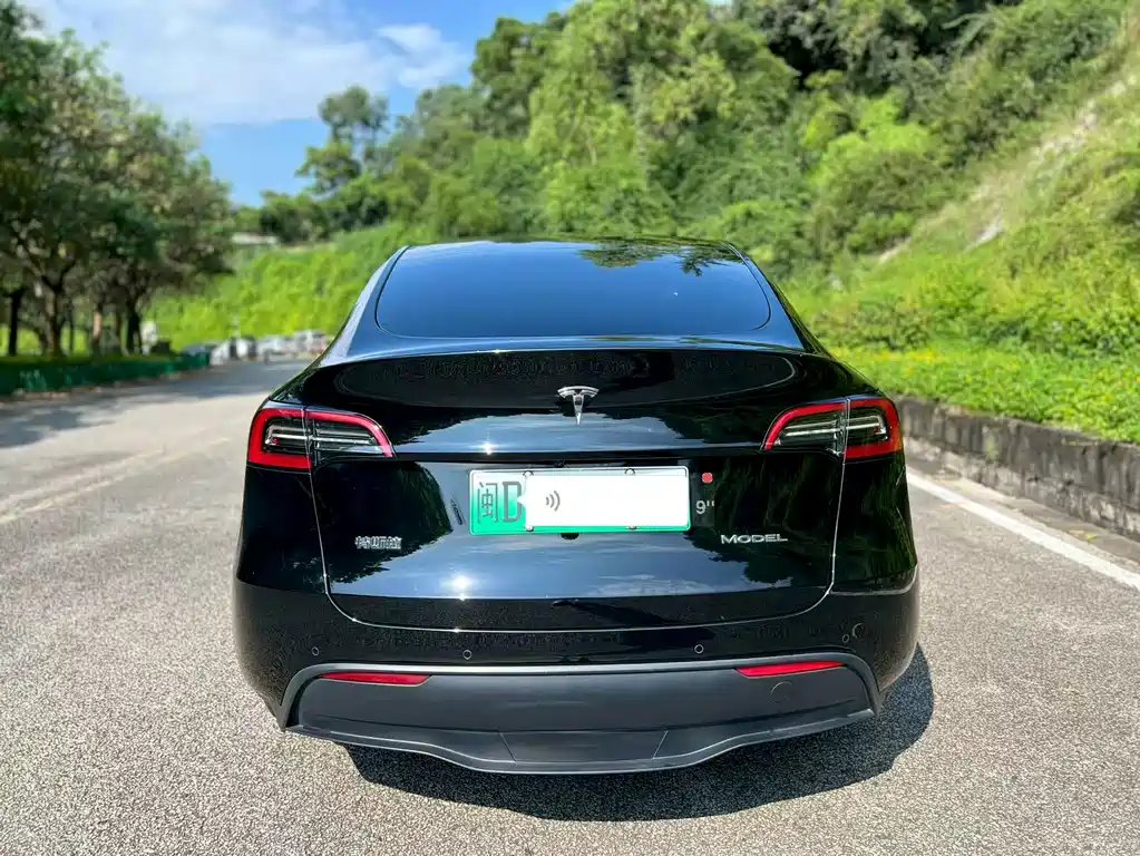 Tesla Model Y — миниатюра 8