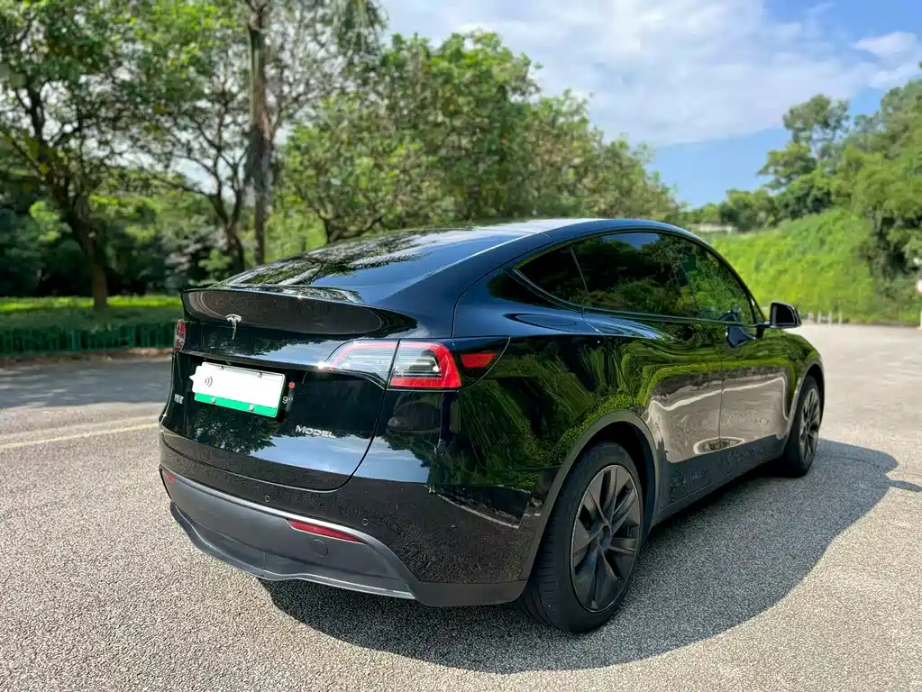 Tesla Model Y — миниатюра 9