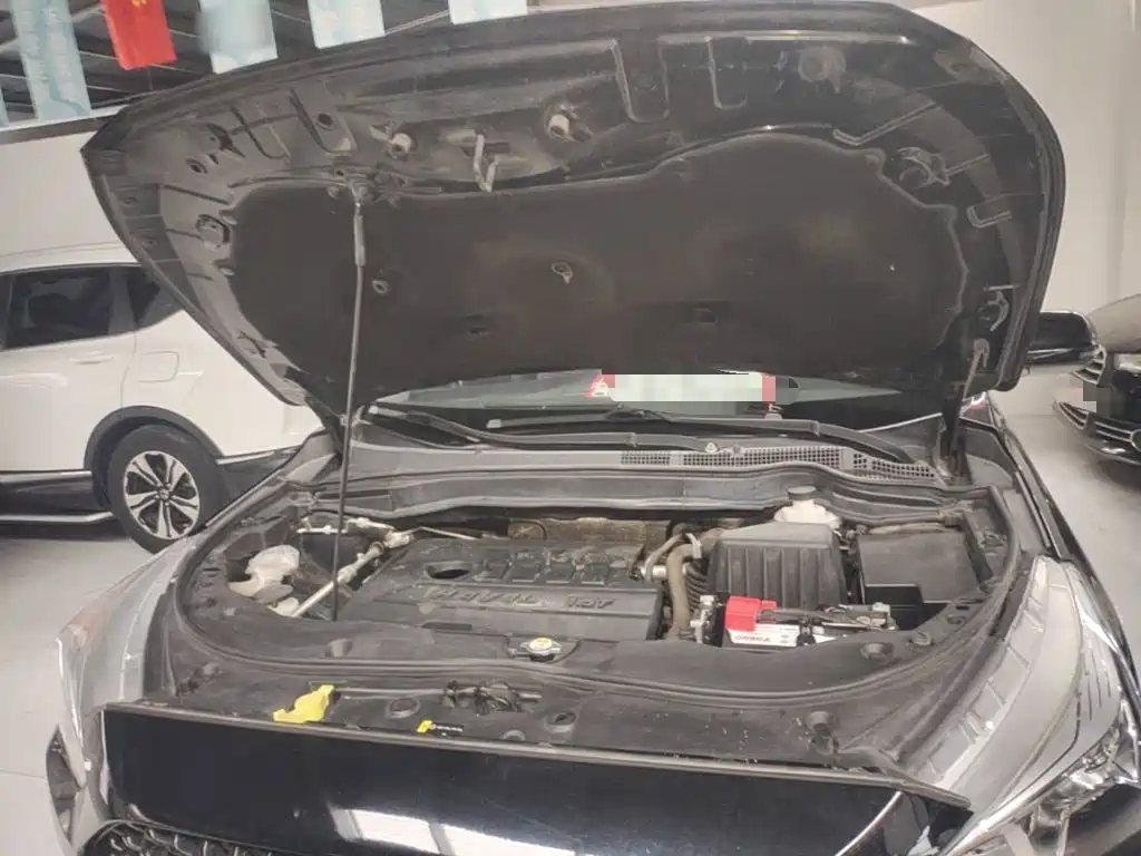 Haval M6 — миниатюра 20