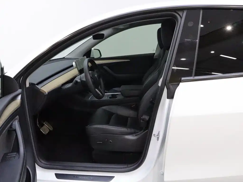 Tesla Model Y — миниатюра 11