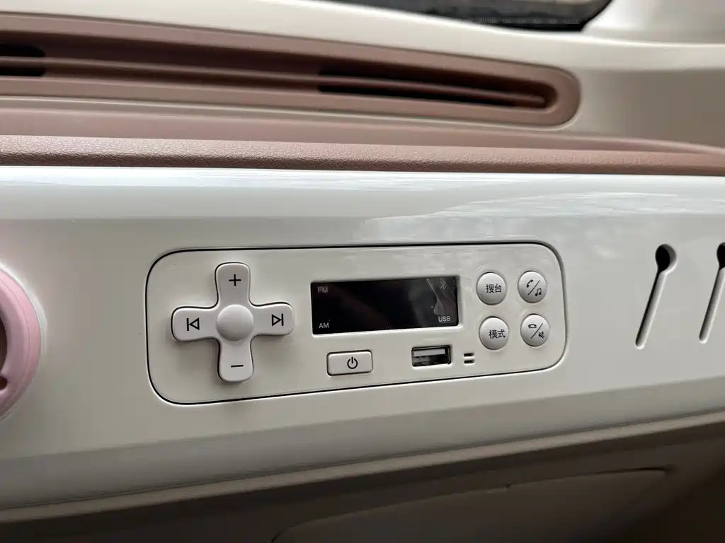 BESTUNE PENTIUM PONY