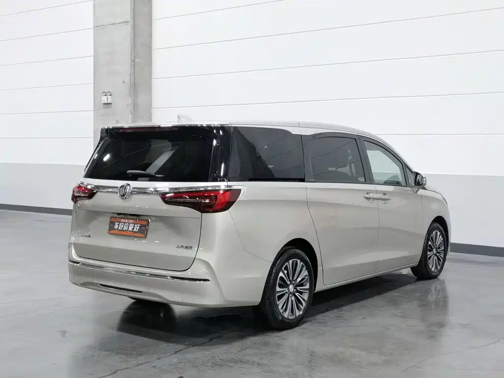 Buick GL8 — миниатюра 2