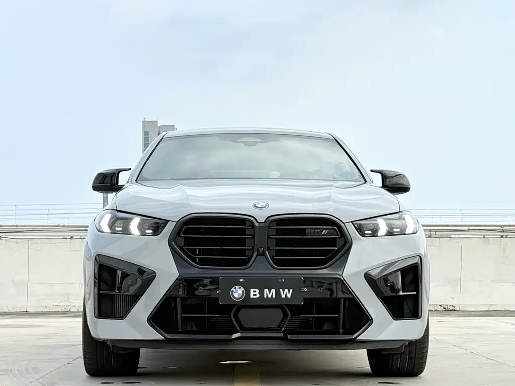 BMW X6 M — миниатюра 2