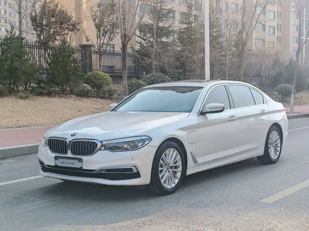 BMW 5 Series New Energy 2019
