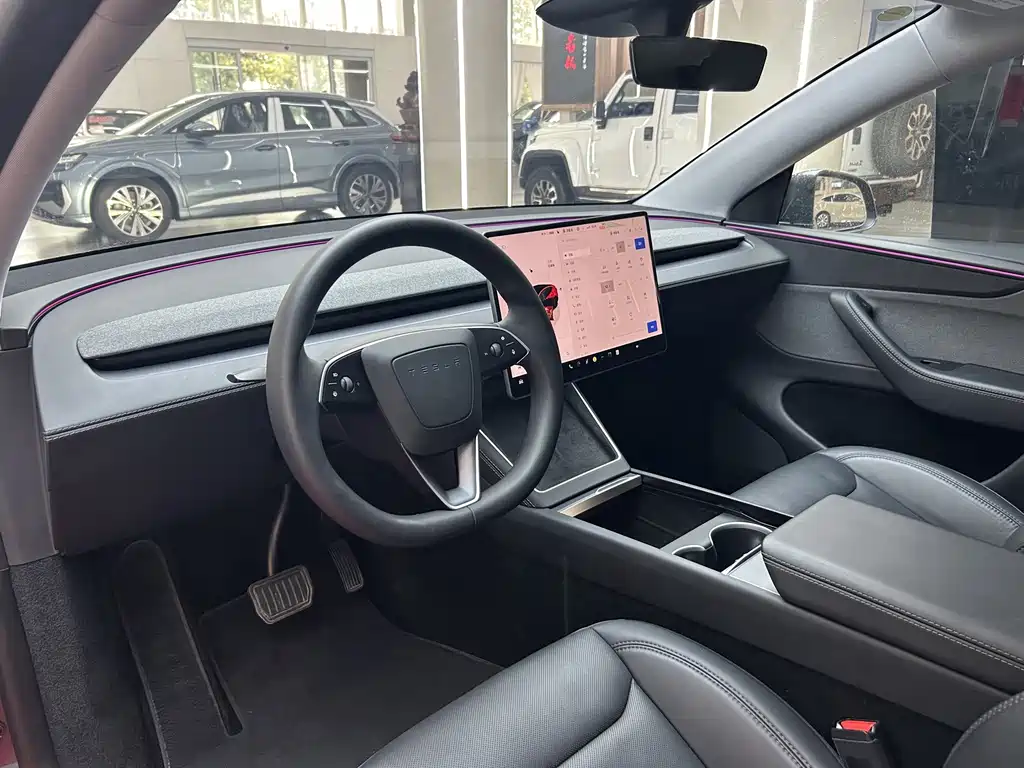 Tesla Model Y — миниатюра 12