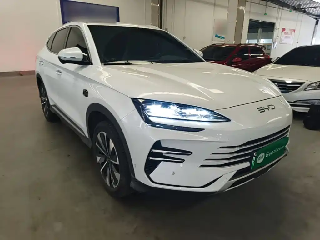 BYD PLUS New Energy — миниатюра 4