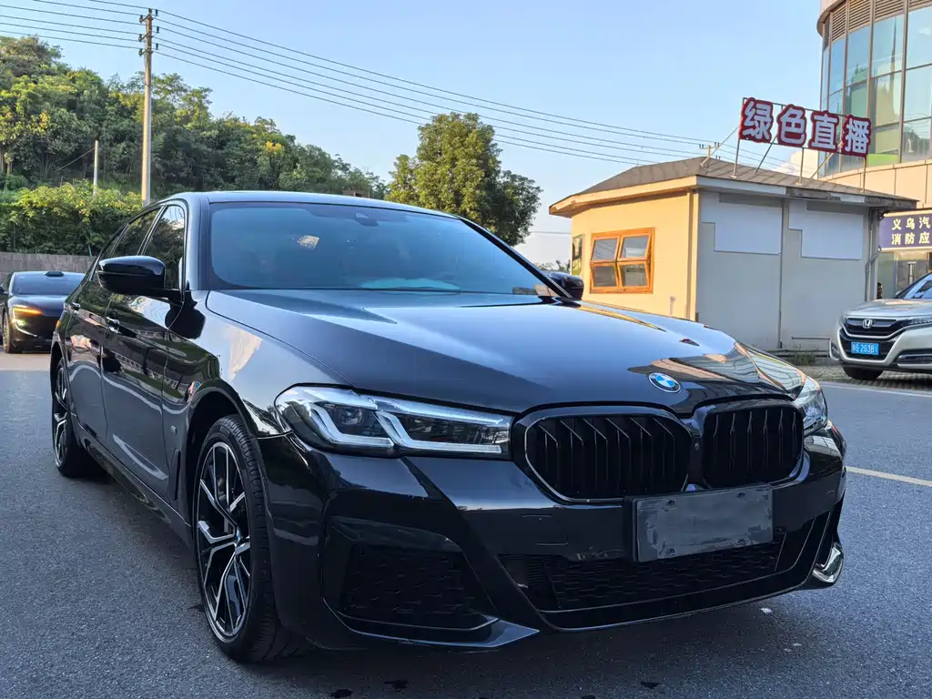 BMW 5 Series — миниатюра 4
